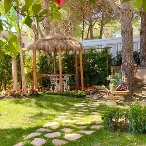 beach-garden-paradise.albaniahotels.org/