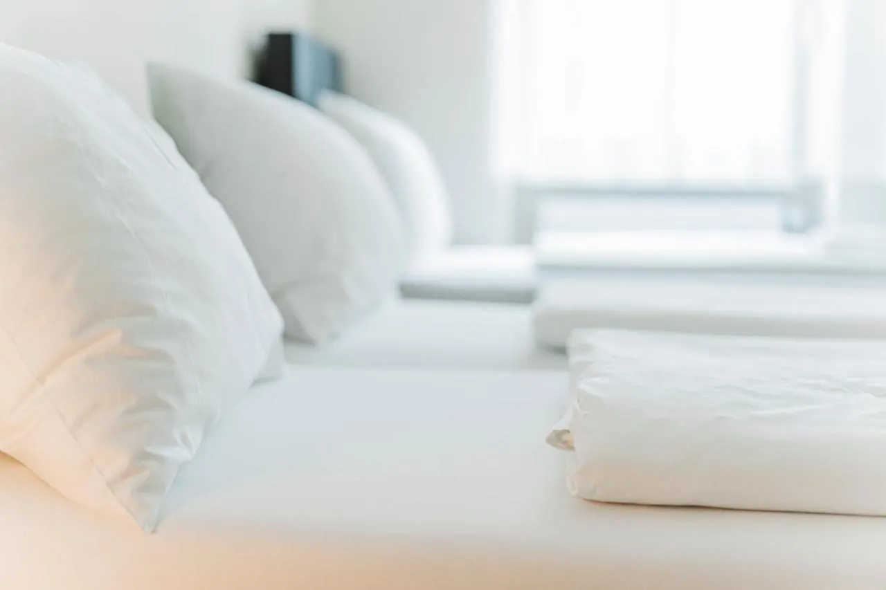 Palais Joseph Apartments, Contactless Check In Vienna